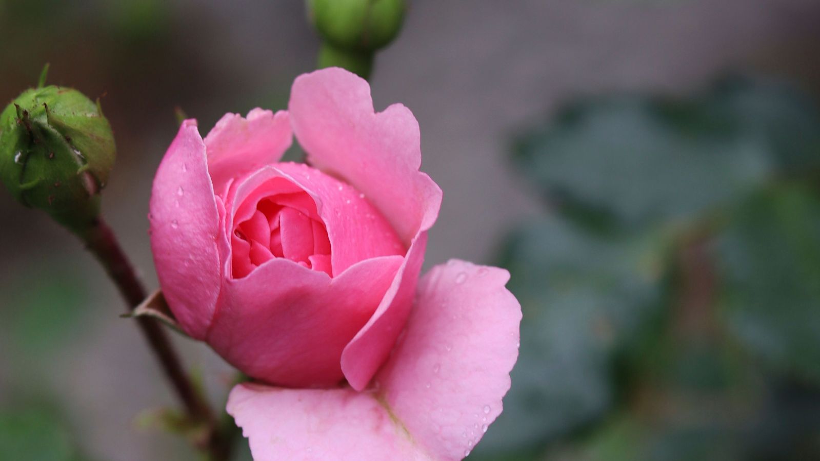 Vieraskynä: VoiceWell-hoito osana hyvinvointia